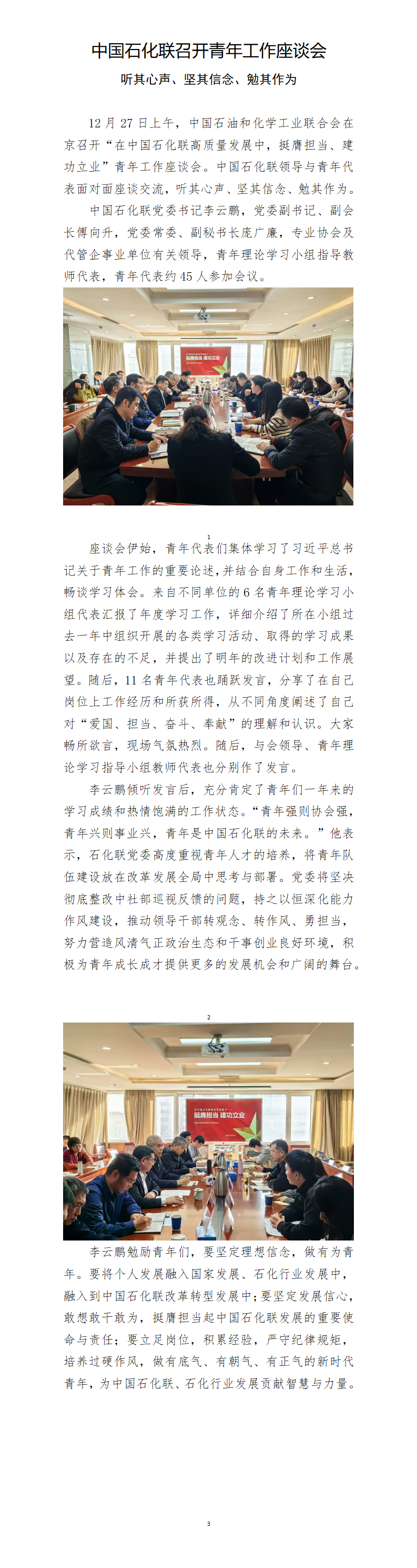 中国石化联召开青年工作座谈会_01.png